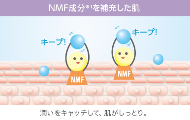 NMF成分※を補充した肌