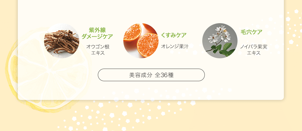 紫外線ダメージケア/くすみケア/毛穴ケア 美容成分 全36種
