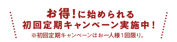 お得!に始められる初回定期キャンペーン実施中！※初回定期キャンペーンはお一人様１回限り。