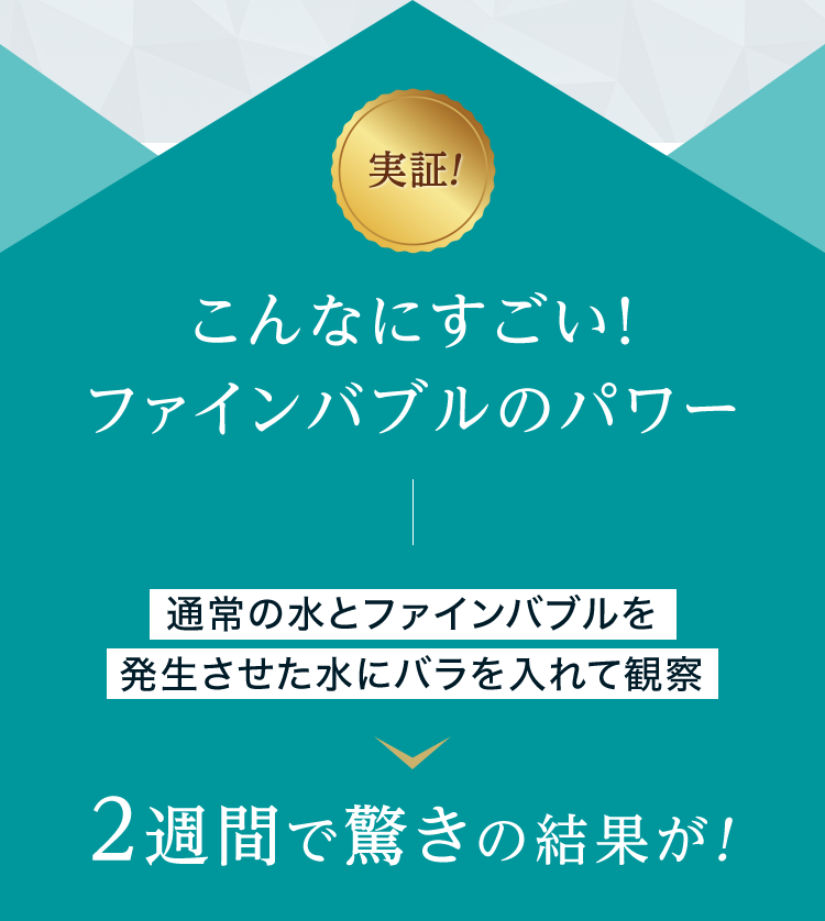 こんなにすごい！ファインバブルのパワー 通常の水とファインバブルを発生させた水にバラを入れて観察 2週間で驚きの結果が！