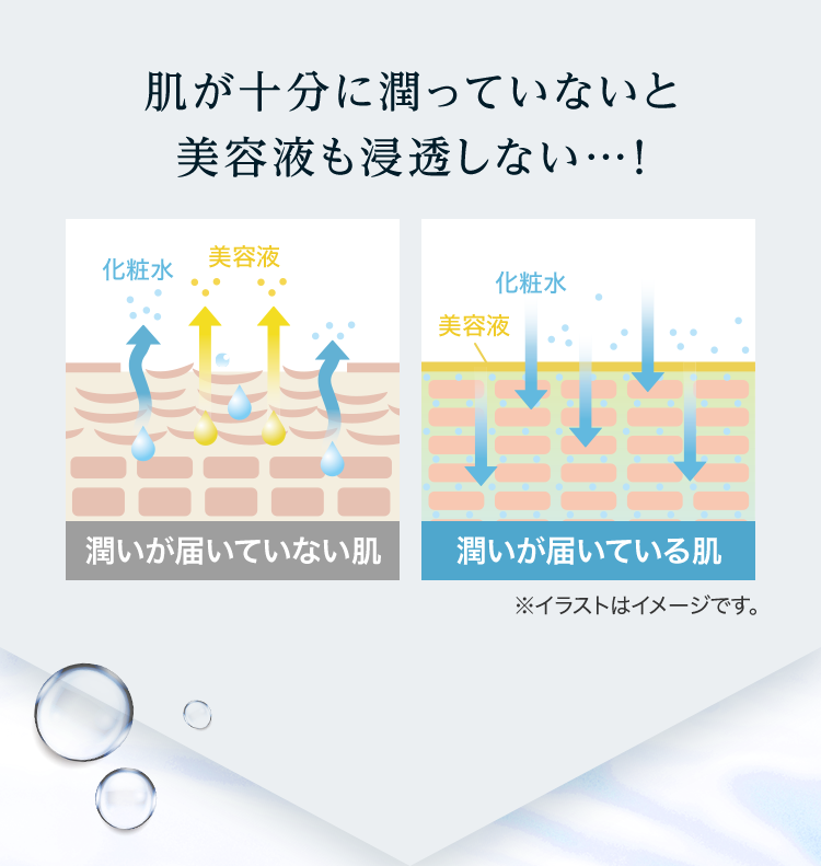 肌が十分に潤っていないと美容液も浸透しない…！ ※イラストはイメージです。