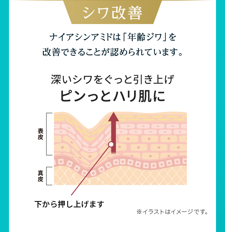 シワ改善 ナイアシンアミドは「年齢ジワ」を改善できることが認められています。深いシワをぐっと引き上げピンっとハリ肌に ※イラストはイメージです。