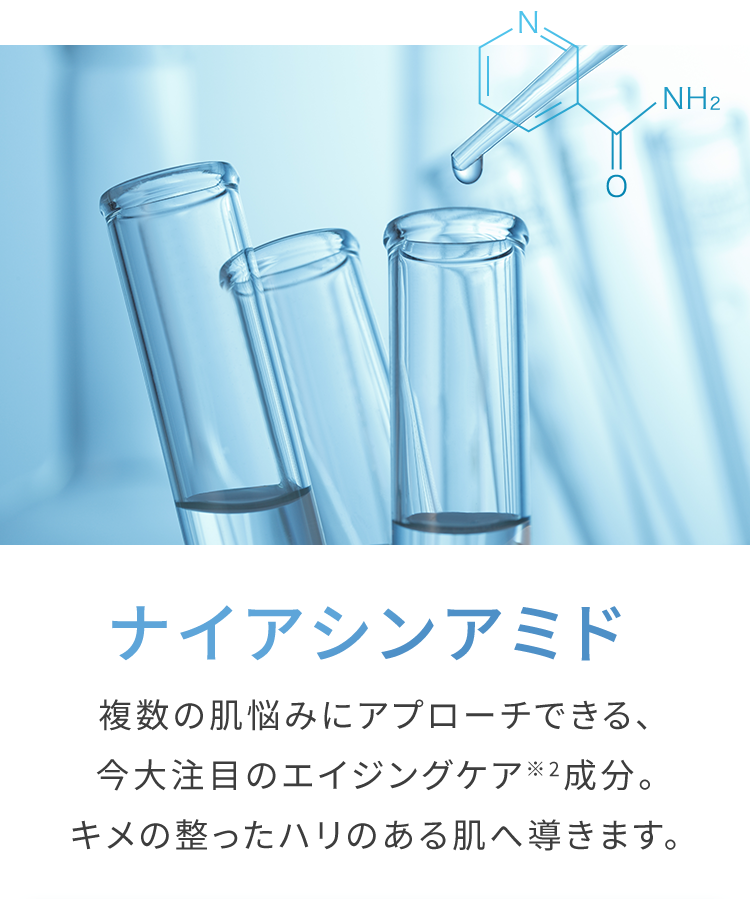 ナイアシンアミド 複数の肌悩みにアプローチできる、今大注目のエイジングケア※2成分。キメの整ったハリのある肌へ導きます。