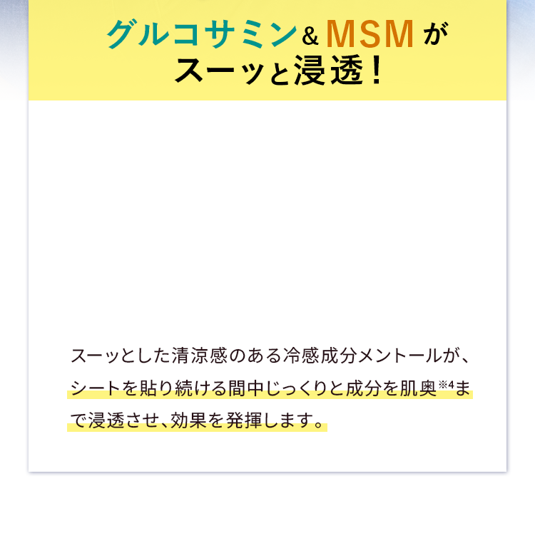 グルコサミン&MSMがスーッと浸透！