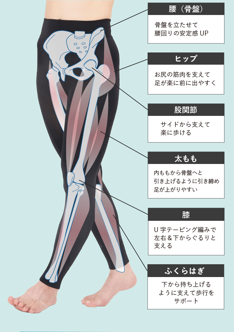 腰（骨盤）骨盤を立たせて腰回りの安定感UP ヒップ お尻の筋肉を支えて足が楽に前に出やすく 股関節 サイドから支えて楽に歩ける 太もも 内ももから骨盤へと引き上げるように引き締め足が上がりやすい 膝 U字テーピング編みで左右＆下からぐるりと支える ふくらはぎ 下から持ち上げるように支えて歩行をサポート