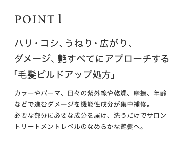 POINT1【ハリ・コシ、うねり・広がり、ダメージ、艶すべてにアプローチする 「⽑髪ビルドアップ処⽅」】カラーやパーマ、⽇々の紫外線や乾燥、摩擦、年齢などで進むダメージを機能性成分が集中補修。必要な部分に必要な成分を届け、洗うだけでサロントリートメントレベルのなめらかな艶髪へ。