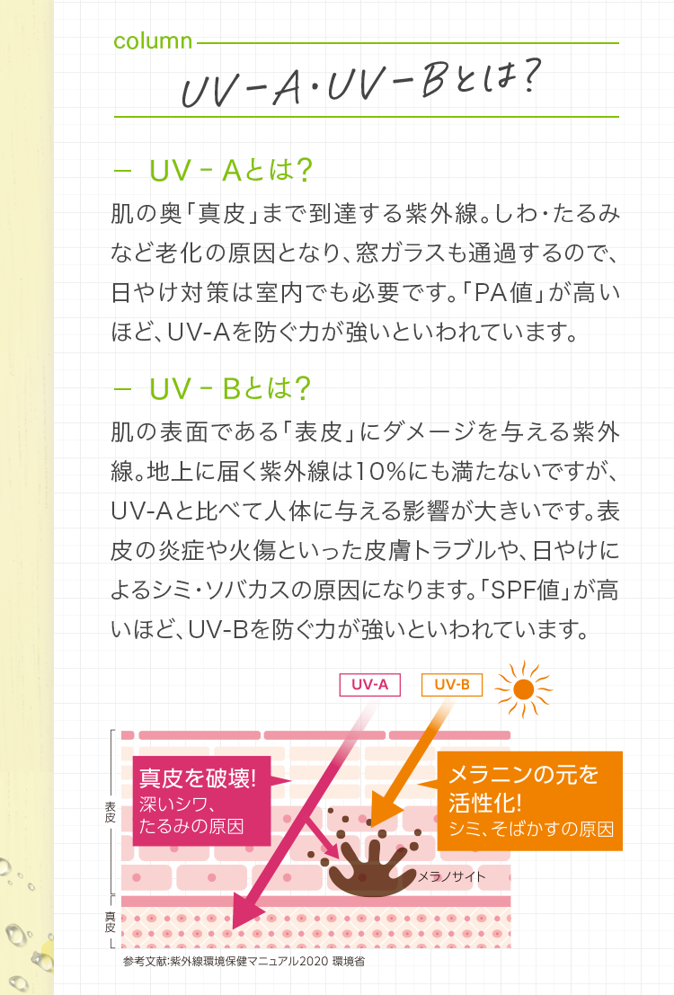 UV-A・UV-Bとは? UV-Aとは？ 肌の奥「真皮」まで到達する紫外線。しわ・たるみなど老化の原因となり、窓ガラスも通過するので、日やけ対策は室内でも必要です。「PA値」が高いほど、UV-Aを防ぐ力が強いといわれています。 UV-Bとは？ 肌の表面である「表皮」にダメージを与える紫外線。地上に届く紫外線は10％にも満たないですが、UV-Aと比べて人体に与える影響が大きいです。表皮の炎症や火傷といった皮膚トラブルや、日やけによるシミ・ソバカスの原因になります。「SPF値」が高いほど、UV-Bを防ぐ力が強いといわれています。