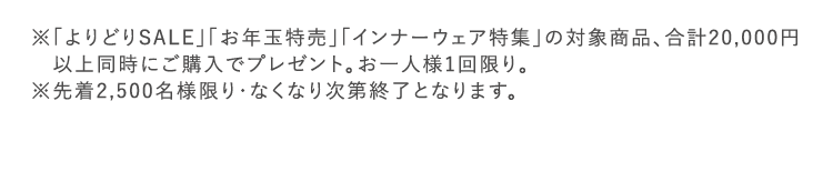 ※「よりどりSALE」「お年玉特売」「インナーウェア特集」の対象商品、合計20,000円以上同時にご購入でプレゼント。お一人様1回限り。※先着2,500名様限り・なくなり次第終了となります。